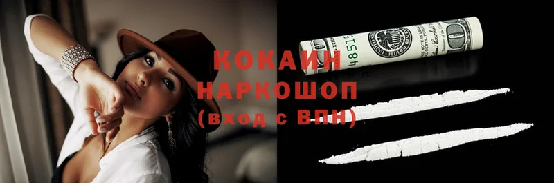 блэк спрут как войти  Алушта  Кокаин Fish Scale  где купить  